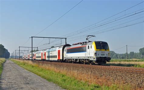 treinkaartje hamont antwerpen|SNCB trein van Hamont naar Antwerpen vanaf €19